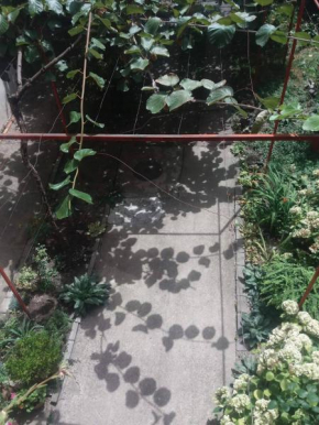 Julija Guest House, Ohrid